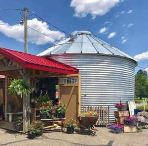 Farm market with silo and flowers.